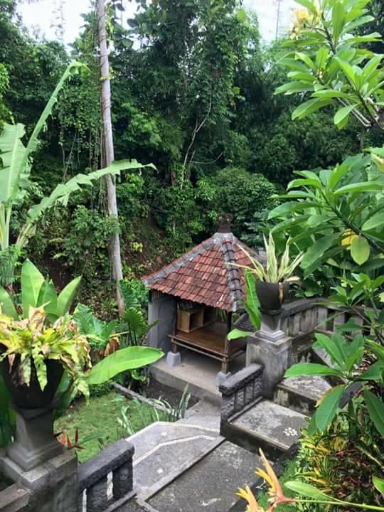 Kerta Family Bed And Breakfast Ubud Exterior foto